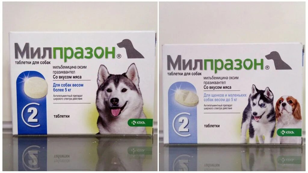 мильбемакс аналог. мильбемакс аналоги для кошек. мильбемакс для кошек 1 таблетка. антигельминтик elanco мильбемакс для кошек, 2 таблетки. мильбемакс.