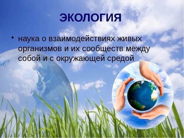 цепочка круговорота веществ в природе 7 класс. живые участники круговорота веществ. обитатели живой природы. цепочка круговорота веществ в природе 3 класс. косное вещество биосферы примеры.