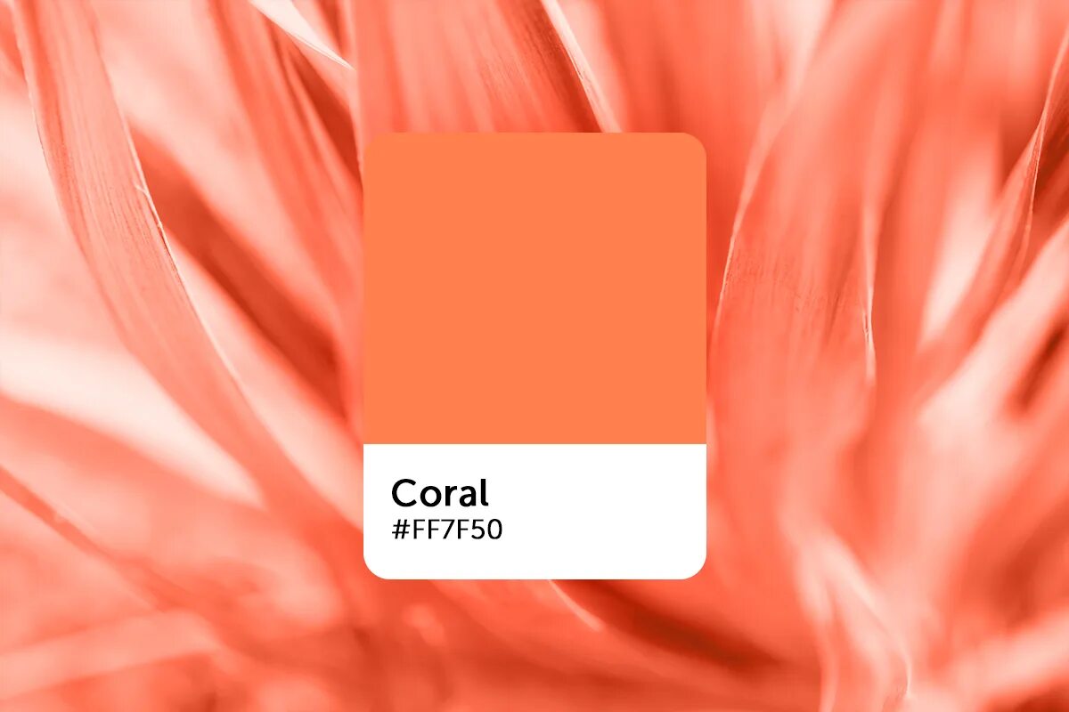 Coral color. Коралловый цвет. Глубокий коралловый цвет. Коралловый цвет CMYK. Коралловый цвет код.