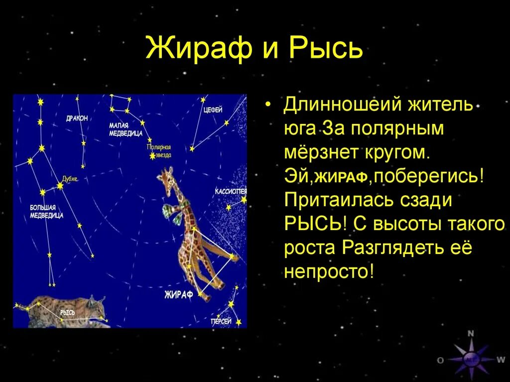 Открытее созвездий. Созвездие Рысь. Созвездие Рысь Легенда. Созвездие Жираф. Легенда о созвездии жирафа.