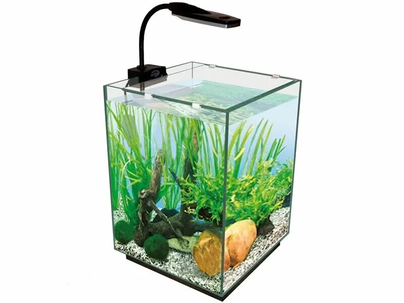 5. аквариум 20 литров. аквариум 10л. аквариум 10 литров. аквариум 10 литров рыбки какие.