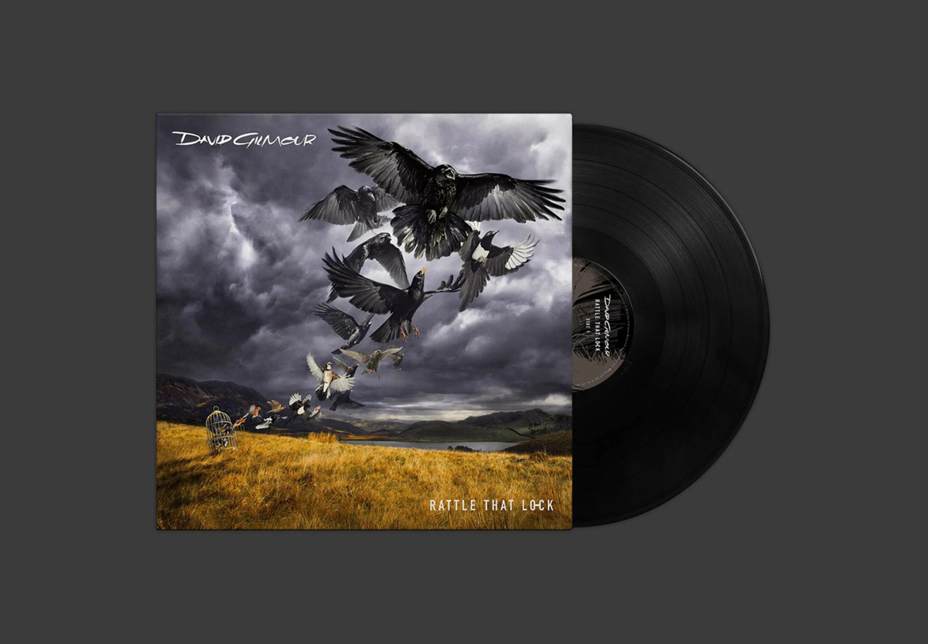 David gilmour rattle that lock 2015 обложка. Gilmour rattle that lock. David gilmour rattle that lock обложка альбома. David gilmour rattle that lock обложка. David gilmour, альбом rattle that lock, 2015.