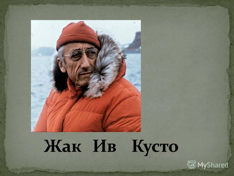 жак ив кусто 1963. жак-ив кусто фото. жак ив кусто 1970. жак ив кусто. жак ив кусто.