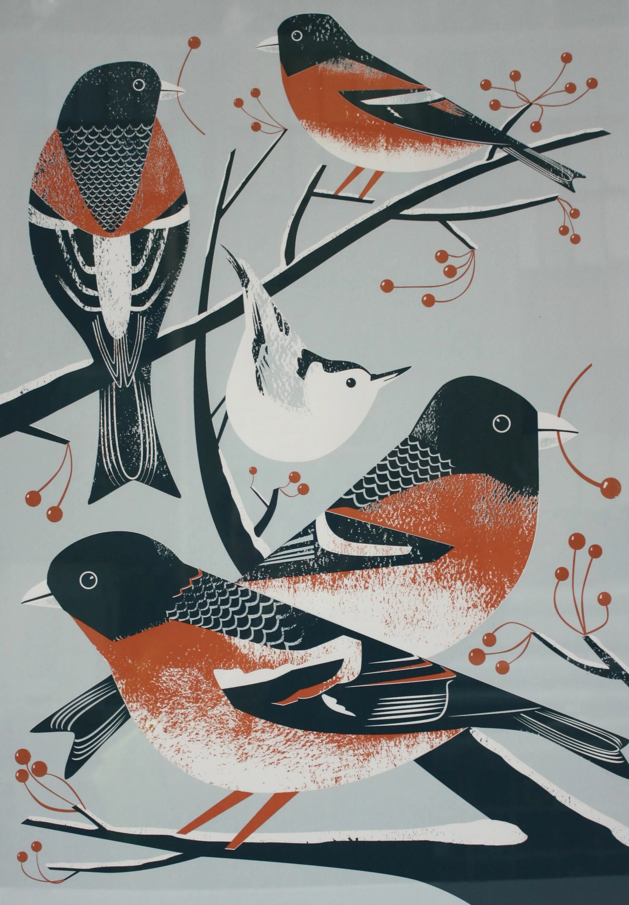 Постеры с птичками. Постеры на стену птицы. Красивые постеры с птицами.