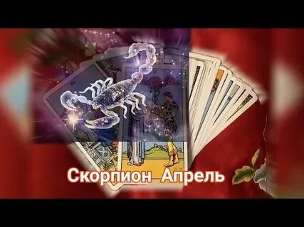 Таро гороскоп скорпион 2024