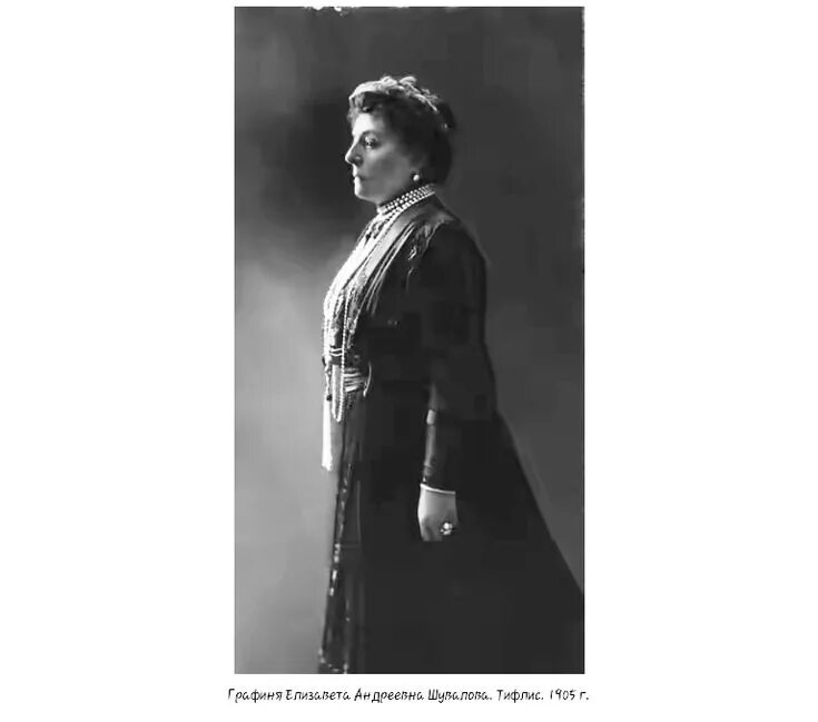 Графиня елизаве́та андре́евна воронцо́ва-да́шкова. Графиня воронцова дашкова портрет. Елизаветой андреевной воронцовой дашковой. Графиня елизавета андреевна воронцова-дашкова. Елизаветой андреевной воронцовой дашковой.