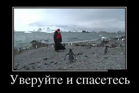 Уверовать