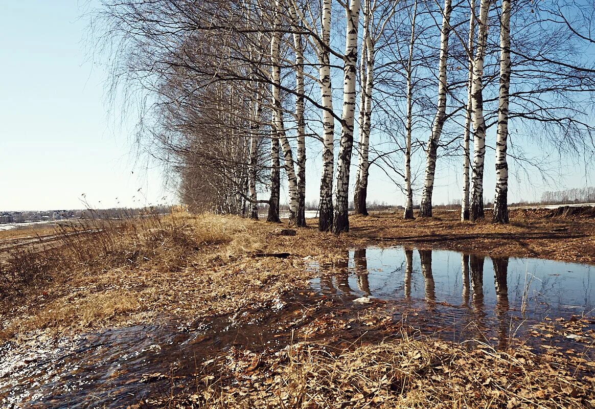 Таяние снега. Будут весны будет талая вода. Талая вода картинки. В речке талая вода. В речке талая вода.