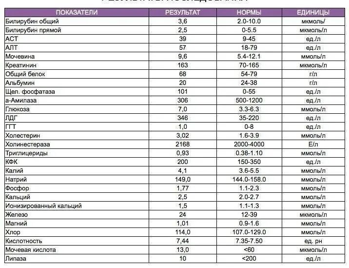 Норма билирубина у мужчины 40 лет. Норма прямого и непрямого билирубина в крови у детей. Билирубин общий и прямой норма у детей. Норма общего билирубина в крови у детей. Показатели билирубина в крови норма.