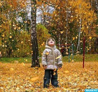 Картинка листопад для детей в детском саду