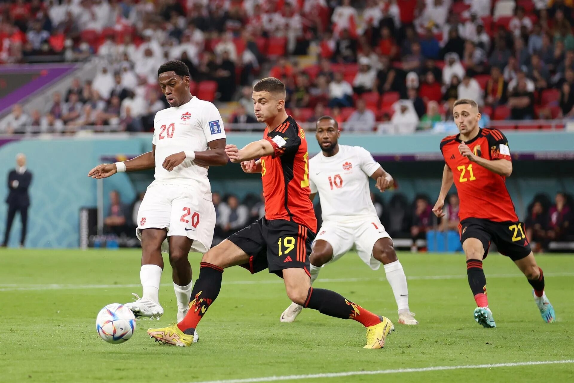 Канада 23. Картина (франция, бельгия, канада) 2011. Бельгия канада футбол. Канада 23. Хорватия чм 2022.