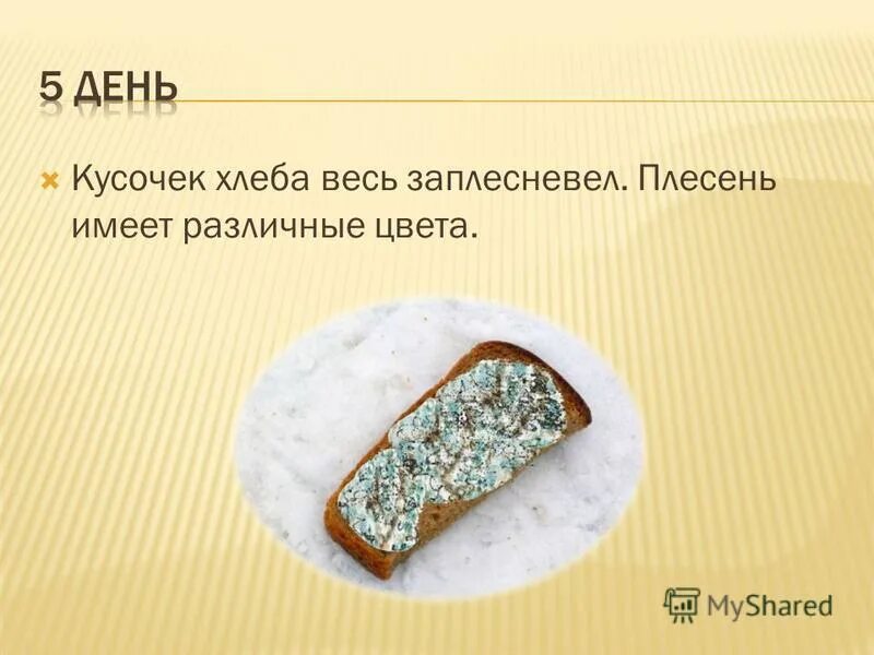 Можно ли выжить на хлебе и воде. Можно ли выжить на хлебе и воде