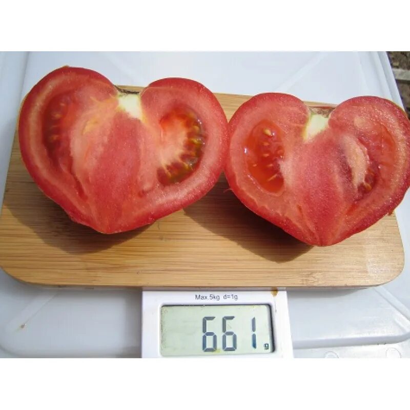 томат бычье сердце минусинское характеристика