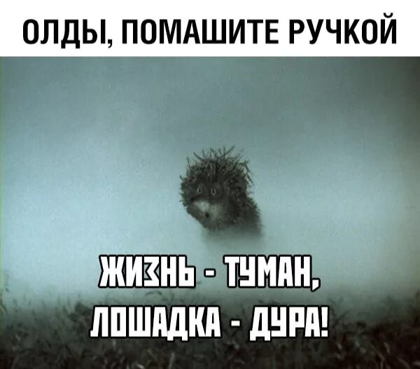 Вышедший из тумана 3