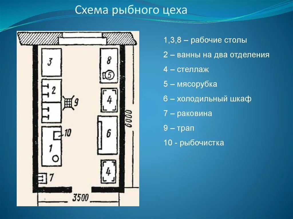 Маркировка холодного цеха. Схема организации рабочего места мясного цеха. схема мясо рыбного цеха с расстановкой. схема мясного цеха с расстановкой оборудования. схема организации рабочих мест рыбного заготовочного цеха.