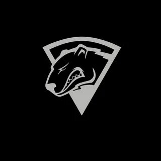 Virtus pro cs 2