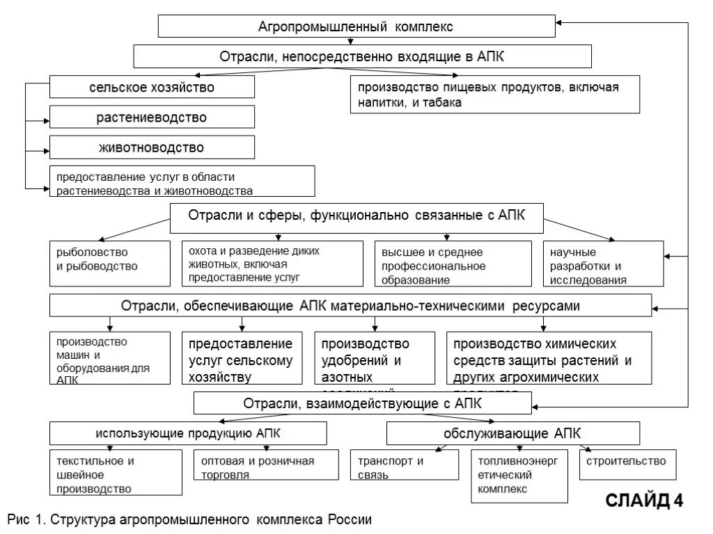 Органы управления апк