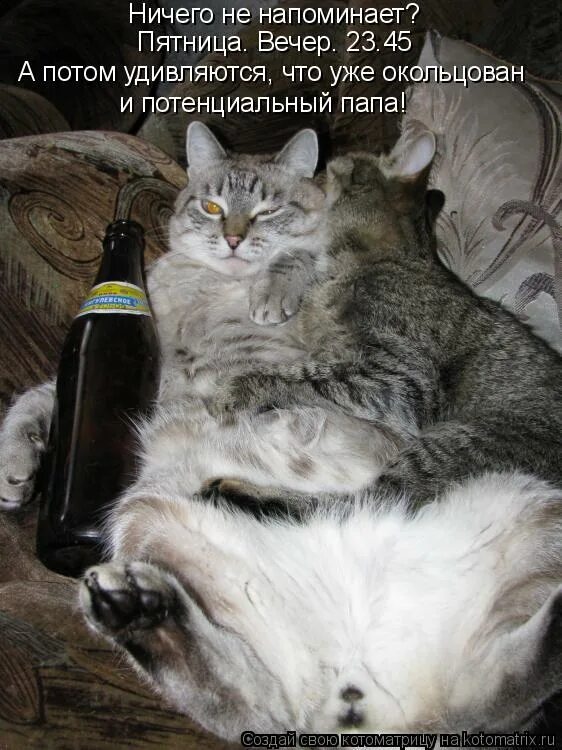 джон сноу ничего не знает. ничего не забыл. ничего не напоминает. ничего не происходит просто так. живи в своё удовольствие.