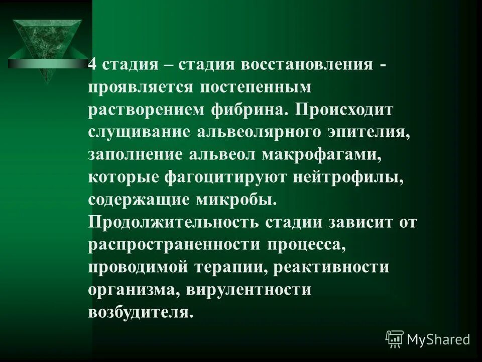 Проявить восстановление. Стадии крупозной пневмонии. Стадии крупозной пневмонии по Цинзерлинг. Клинически фаза регенерации проявляется:. Крупозная пневмония реабилитация.