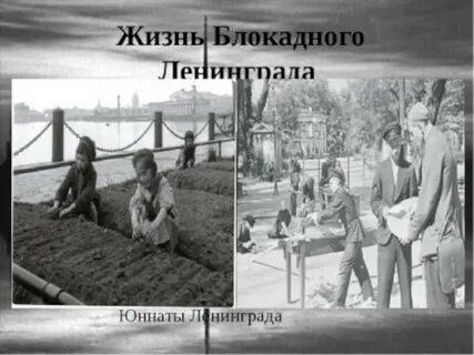 Юннаты блокадного ленинграда