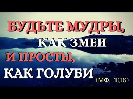 Будьте мудры как змеи