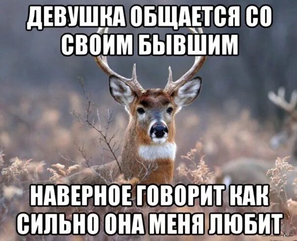 Он общается со своей бывшей. Он общается со своей бывшей. Общение с бывшим. Почему вы перестали общаться?. Статусы про родственников.