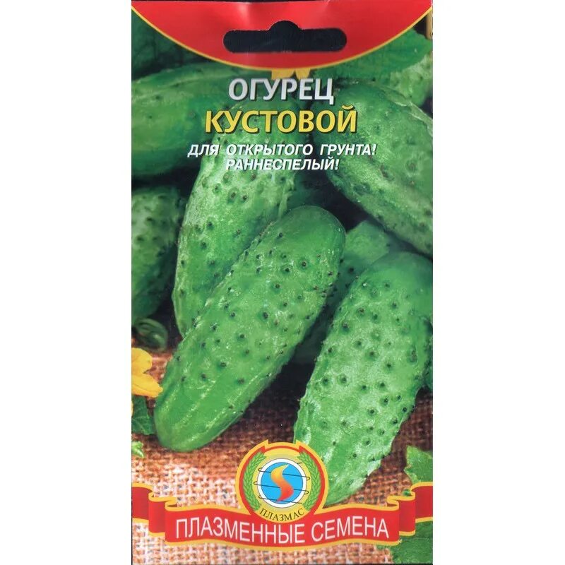 Кустовой огурец для открытого сорта. Огурец кустовой. семена огурец кустовой. кустовые огурцы для открытого грунта. семена огурцов кустовые.