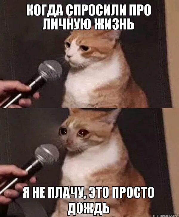 я знаю я очень умный. я знаю я очень умный. я очень умный. умные шутки. умные слова для беседы.