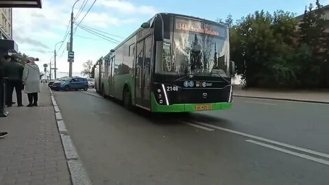 141 автобус спб