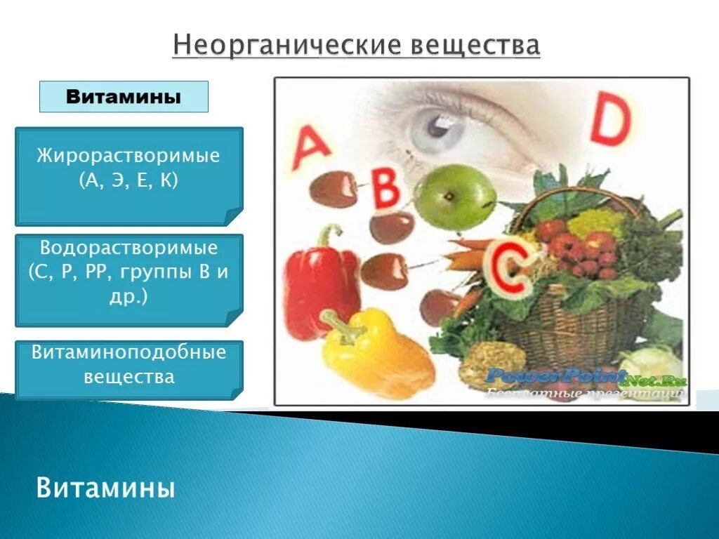 Водорастворимые витамины продукты. Витамины и витаминоподобные вещества. Витамины это неорганические вещества. Водорастворимые вещества витамины. Водорастворимые витаминоподобные вещества.