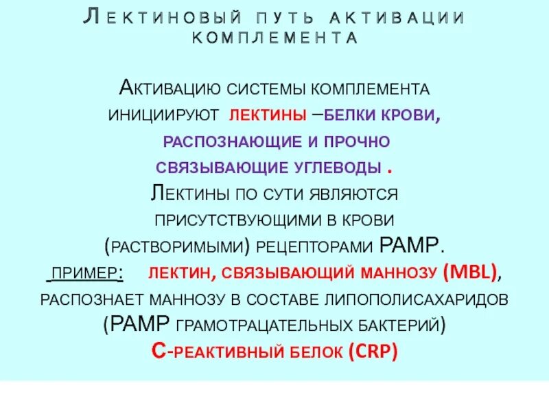 Лектиновый путь комплемента. Пути активации комплемента лектиновый путь. Лектиновый путь активации системы. Лектиновый путь активации системы комплемента. Активаторы лектинового пути системы комплемента.