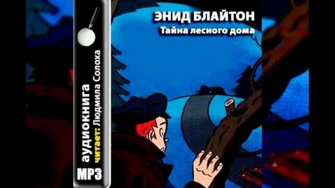Аудиокнига пятеро тайноискателей и собака