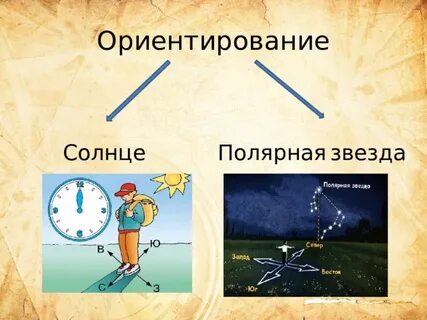 Полярная звезда это ориентир на