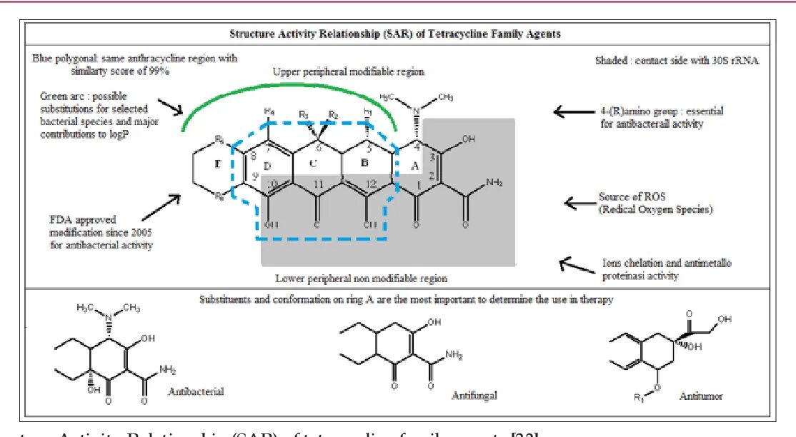 Что такое structure activity relation. Structured activity. Structured activity. Hetaryl radical. Structure activity relationship.