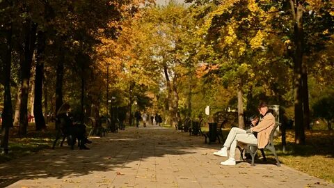 Какое будет бабье лето в 2024 году