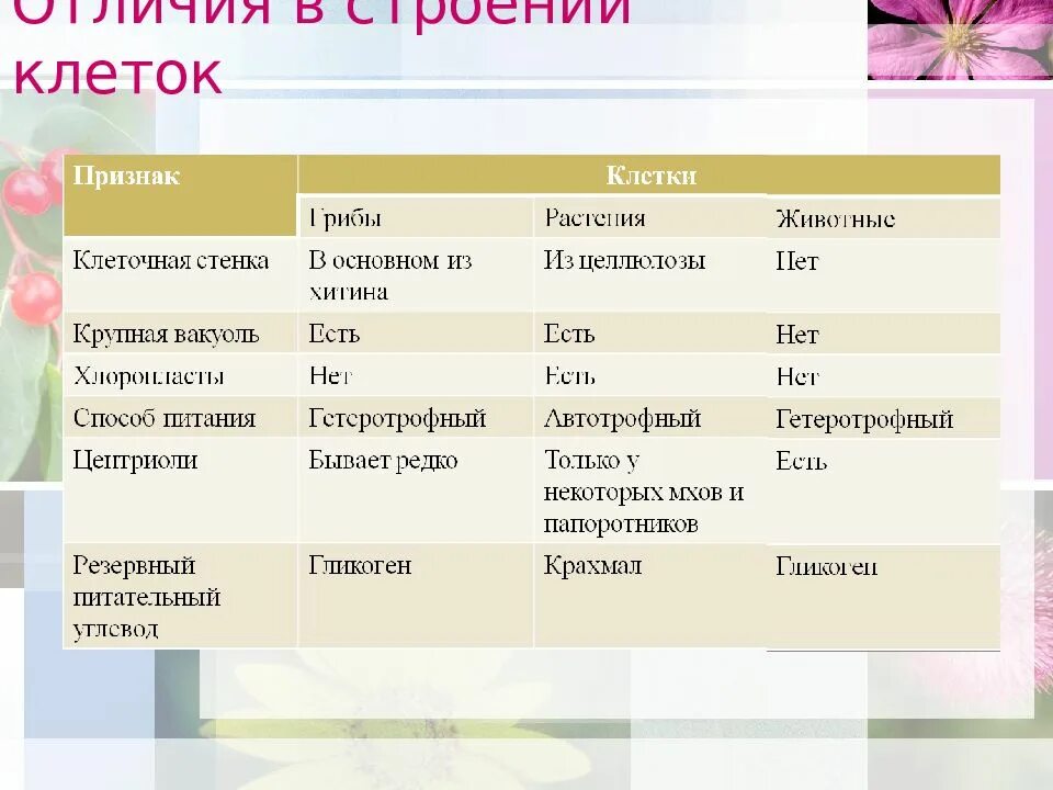 Сходство и различие клеток растений. Отличие клеток грибов от клеток растений. Сходства и различия клеток растений животных грибов. Признаки клетки грибов. Различия клеток растений животных грибов.