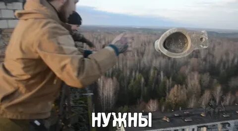 Полез вид
