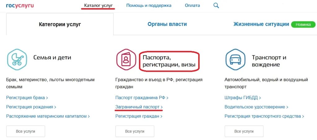 Оформить гражданство через госуслуги. Госуслуги жизненные ситуации. категории услуг на госуслугах.