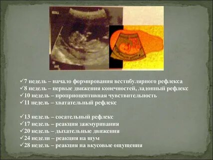 Начало формироваться
