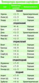 Срок хранения свежих овощей