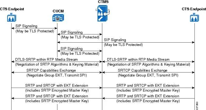Подключение dtls. Протокол srtp. ge-srtp. dtls. datagram transport layer security.