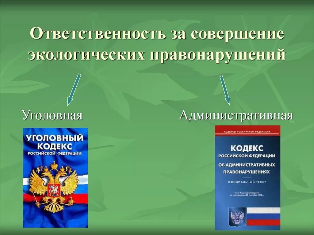 Административных правонарушениях спб. Ответственность за совершение экологических правонарушений. Ответственность за экологические правонарушения и преступления. Экологические правонарушения уголовная ответственность. Уголовная экологическая ответственность.