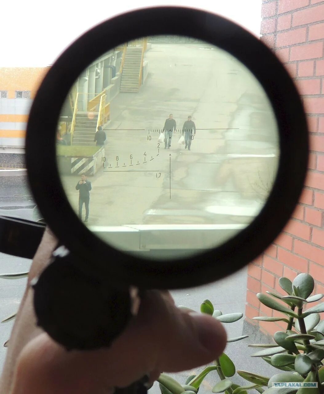 Прицел люпольд vx r сетка. Acog сетка. Acog прицел внутри. Прицел фн 2000 прицел. Прицел свд псо-1.