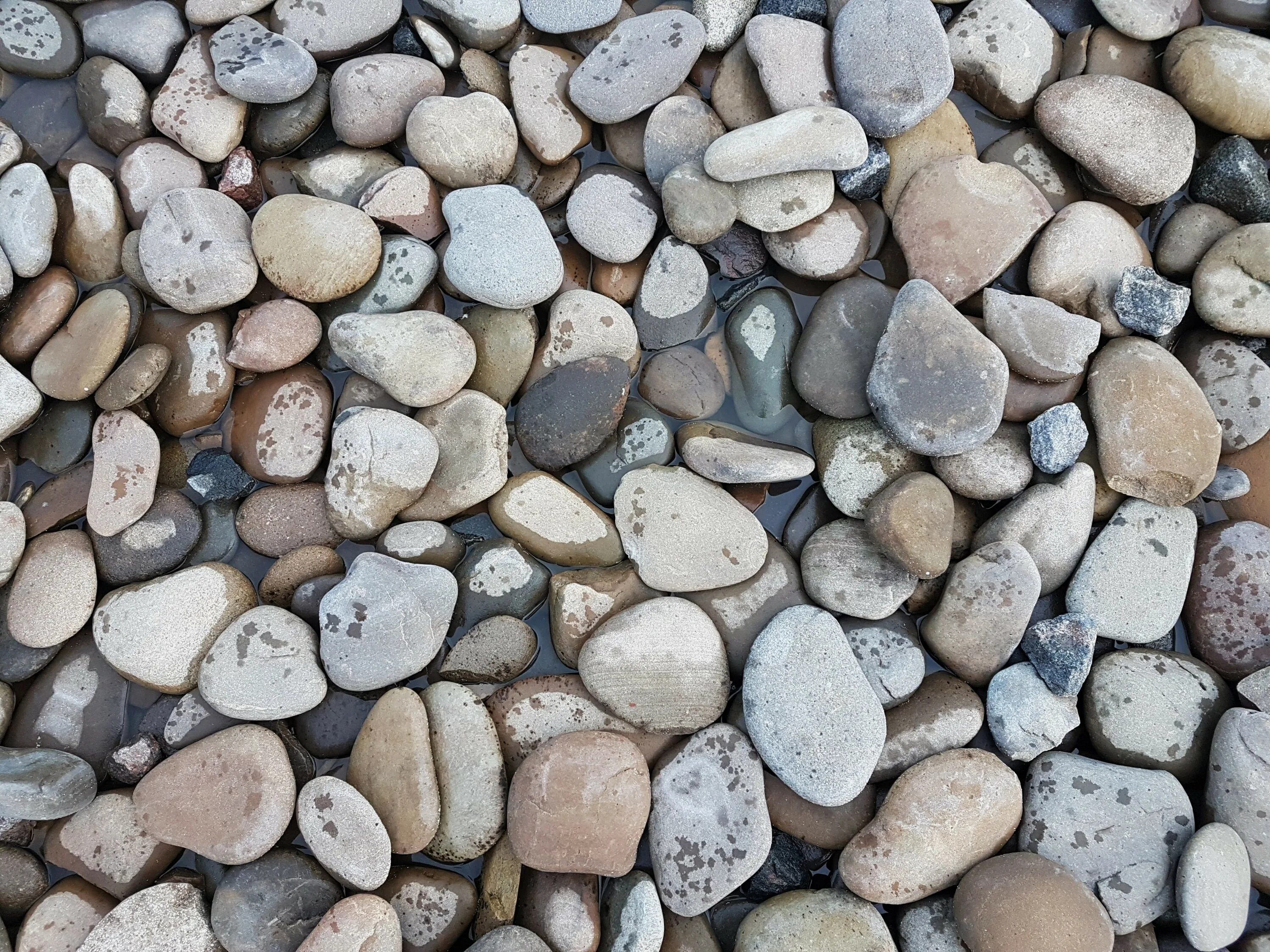 Small stones. Серый камень. Фотообои галька. Галька текстура. Серая галька.