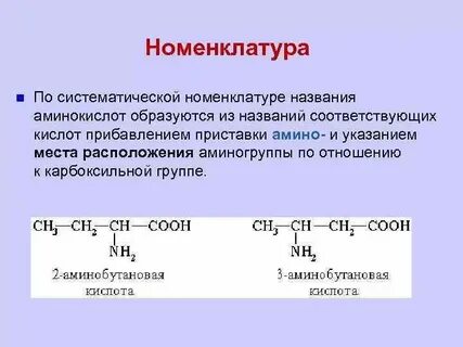 Представление о классификации и систематическая номенклатура