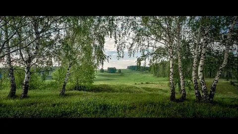 Песня край березовый слушать
