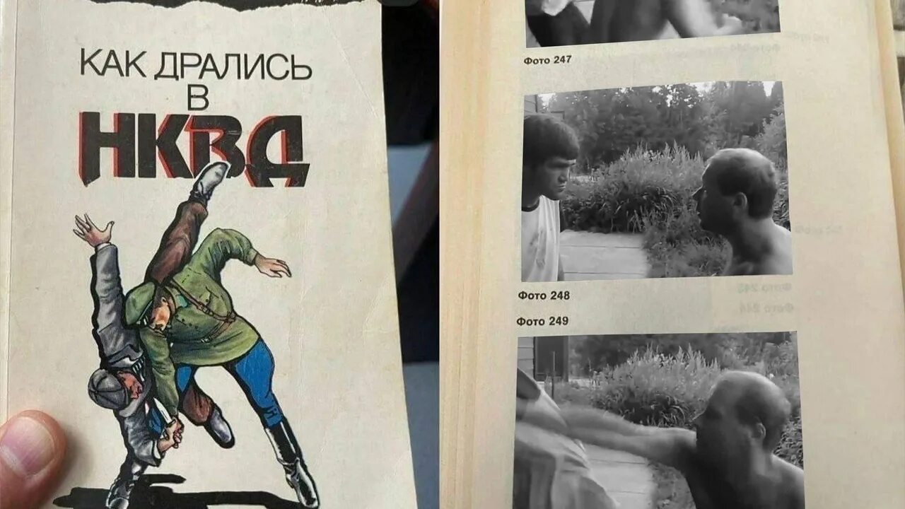 Как дрались в нквд. Как дрались в нквд мем. как дрались в нквд книга. так дрались в нквд гачи.