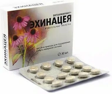 Эхинацея витаиммунит