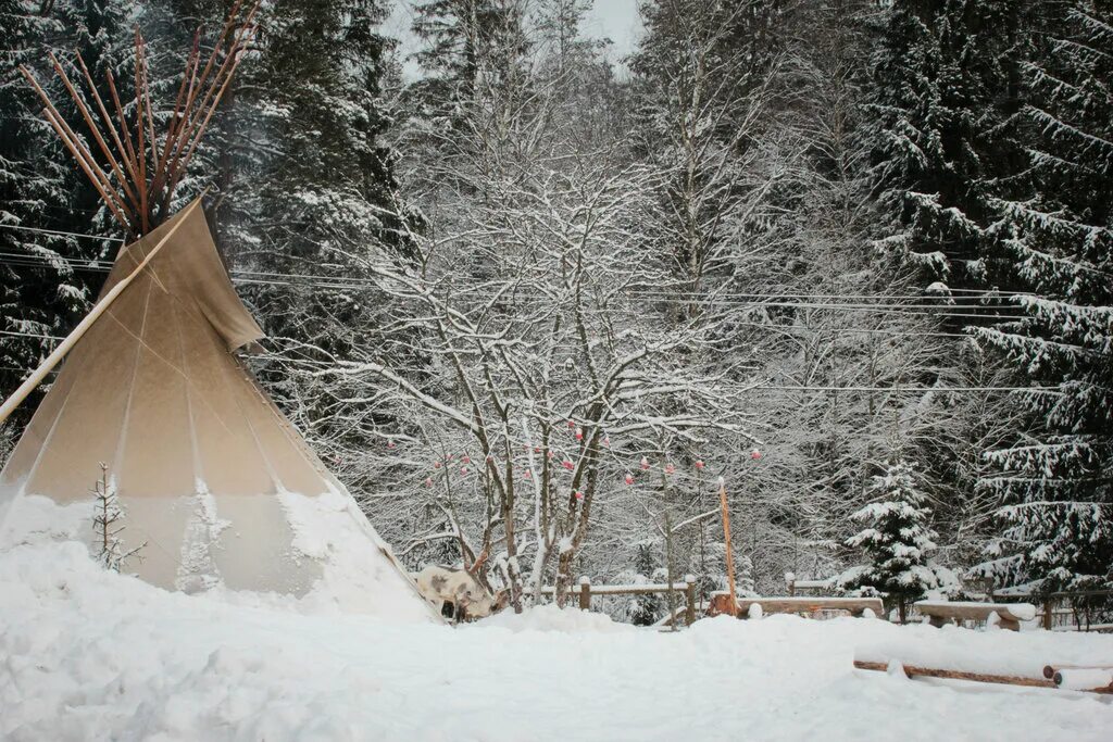 Лесная избушка спб. Лесная избушка спб. Ферма северных оленей карелия. Избушка с высоты птичьего полета фото. Коттедж у озера.