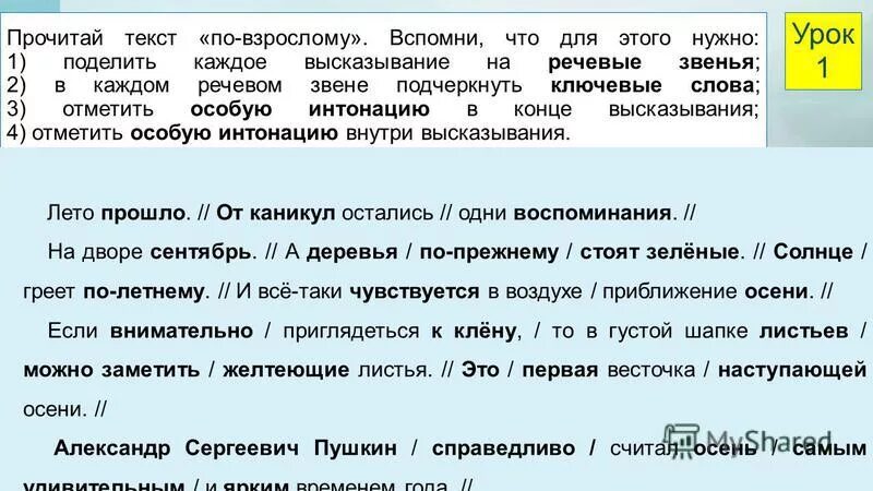 Дидактика текста